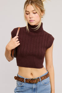 Walnut Soft Ribbed High Neck Crop Sweater Top