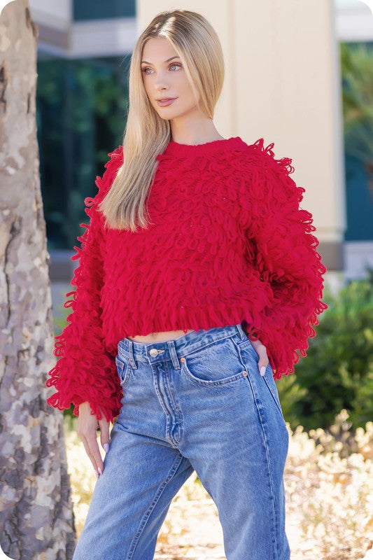 Red Knitted Fringe Shaggy Sweater