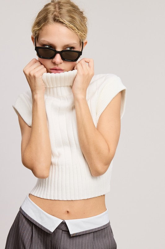 Snow Soft Ribbed High Neck Crop Sweater Top