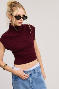 Burgundy Soft Ribbed High Neck Crop Sweater Top