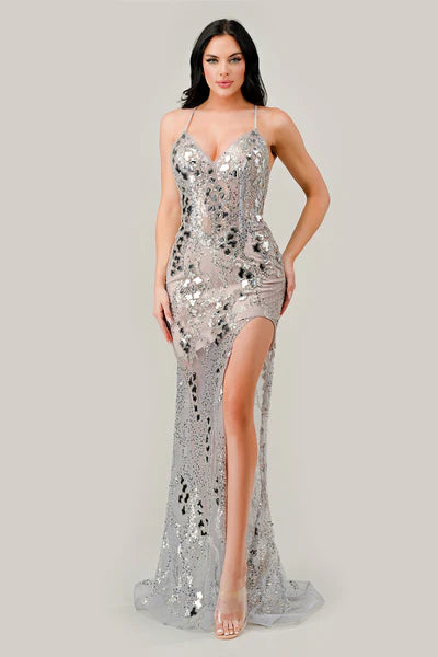 Silver Nude Gold Iridescent Sheer Dress