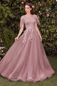 Mauve Embellished Lace Layered Tulle Ball Gown