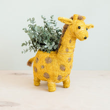 Giraffe Coconut Fiber Planter