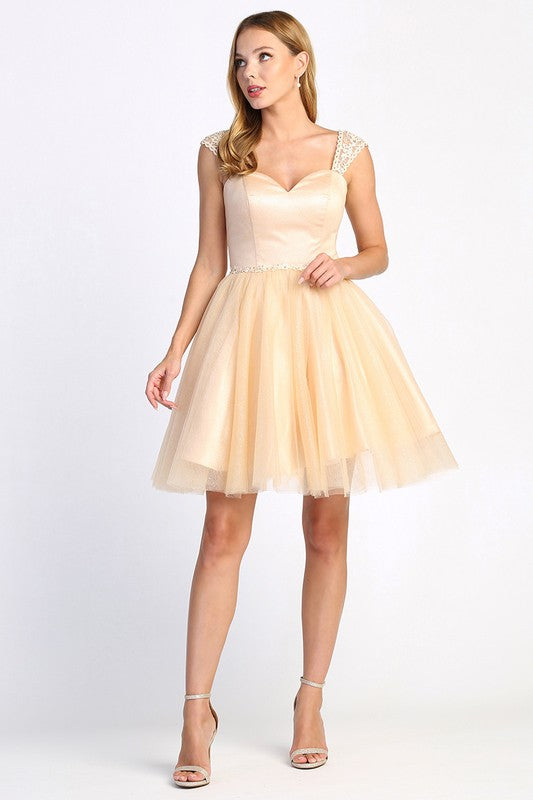 Champagne Tulle Party Short Dress