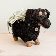 Dachshund Dog Planter - Coco Planter