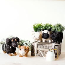 Dachshund Dog Planter - Coco Planter