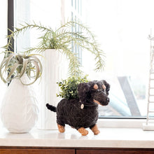 Dachshund Dog Planter - Coco Planter